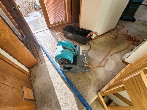 Water damage restoration mold remediation in Lavaca, AR