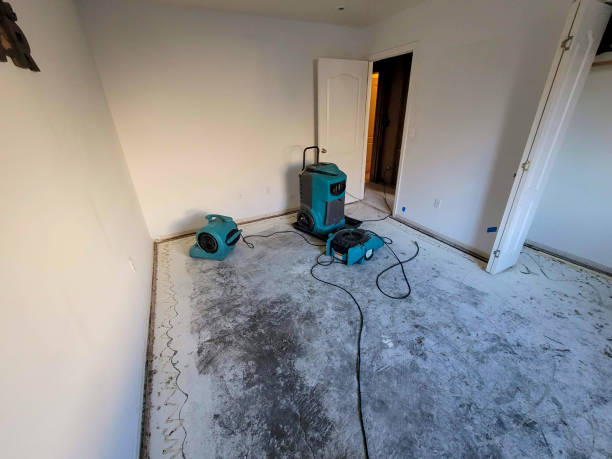 Best Water damage restoration experts  in Lavaca, AR