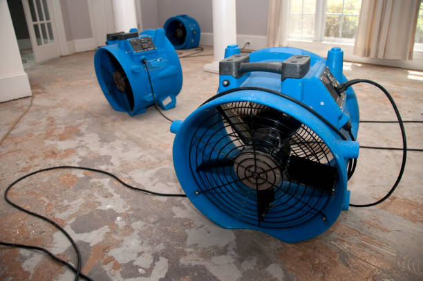 Trusted Lavaca, AR Water damage restoration Experts