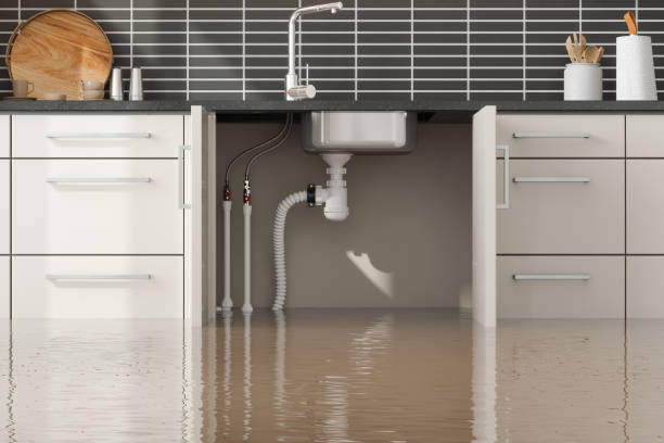 Professional Water damage restoration in Lavaca, AR