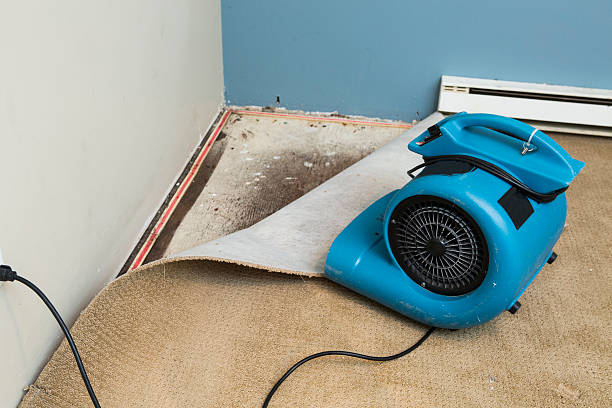 Best Water damage restoration cost  in Lavaca, AR